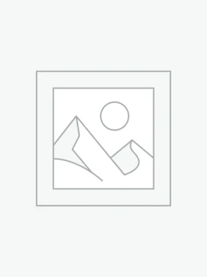 Daisy Circle Earstuds